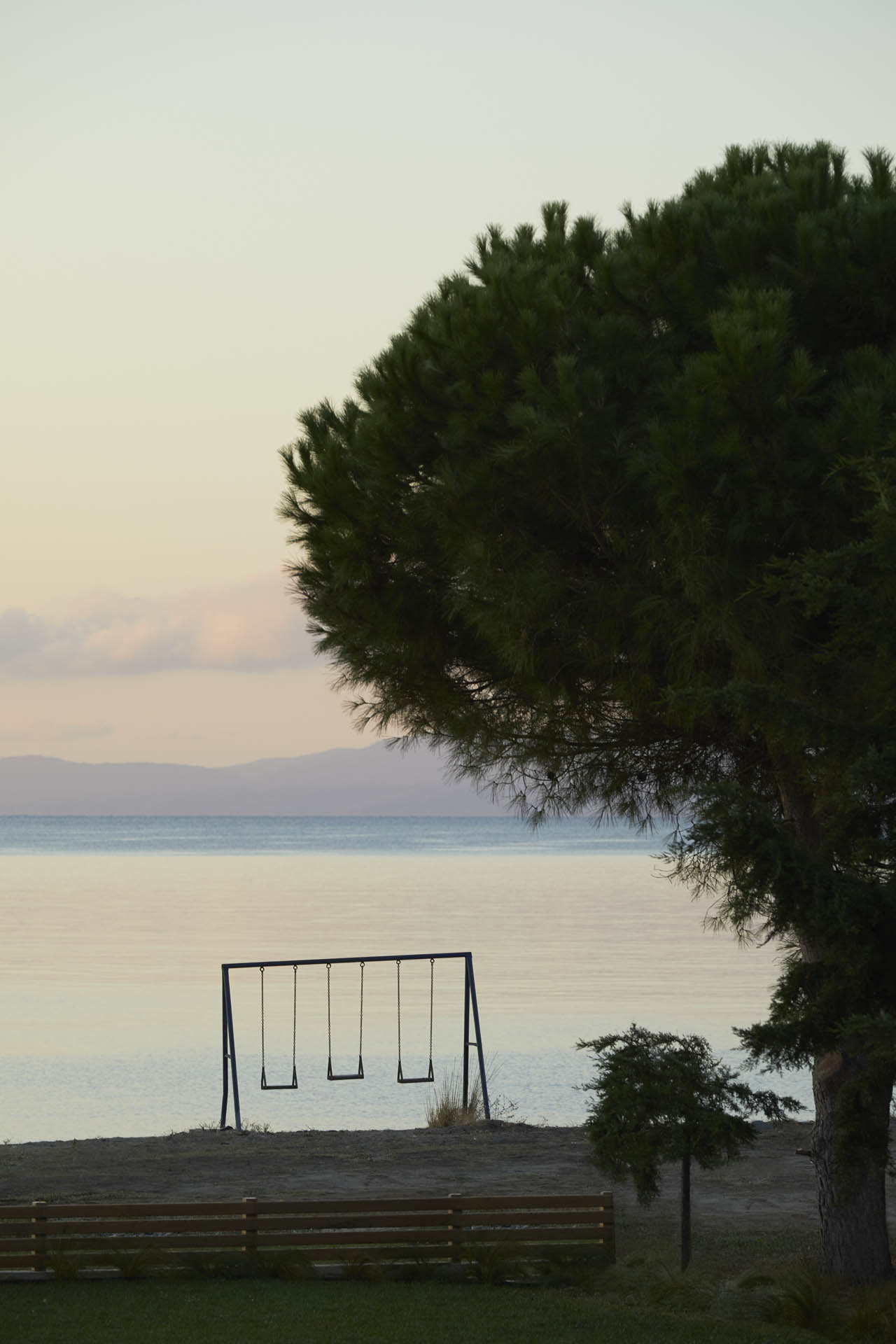 The Area