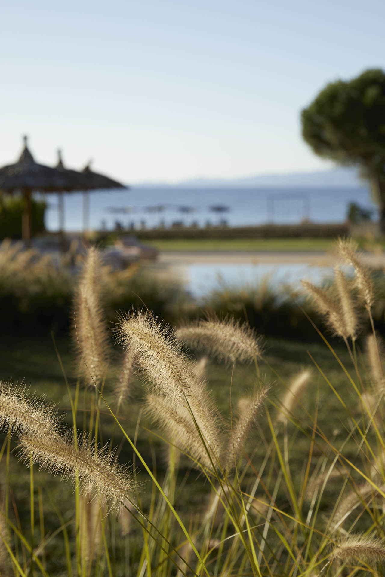 The Grounds